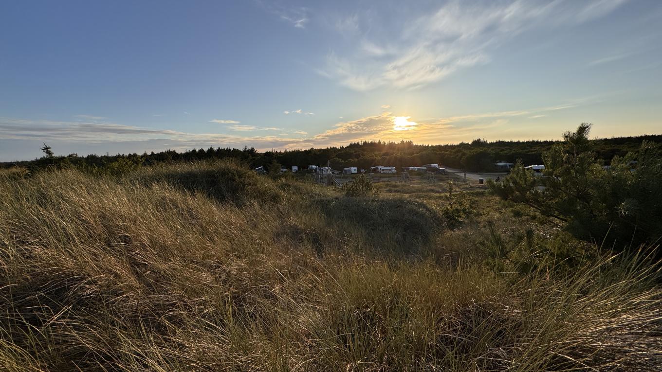 Foto: Lasse Løndahl Henriksen