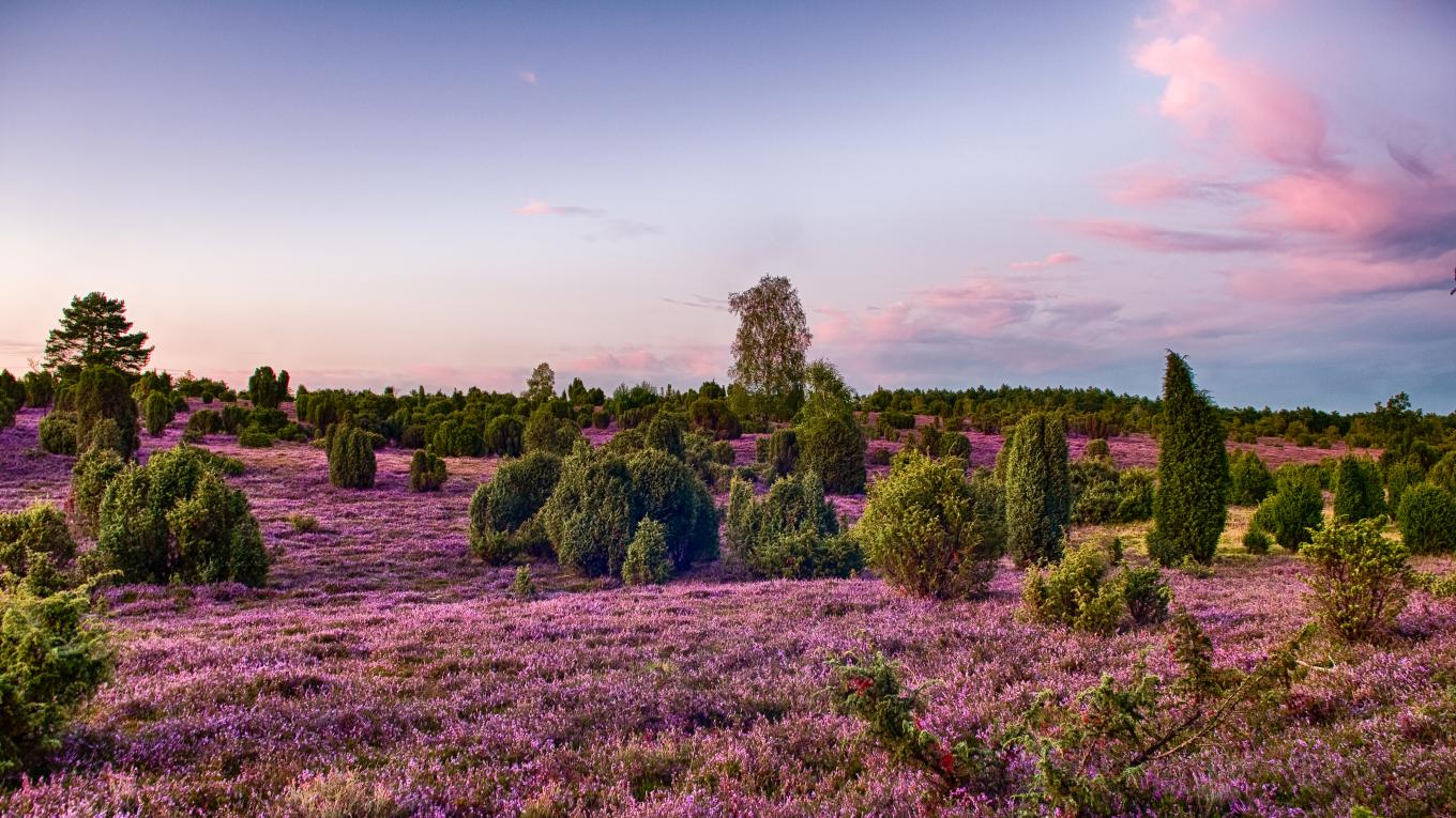 Foto: Adobe Stock