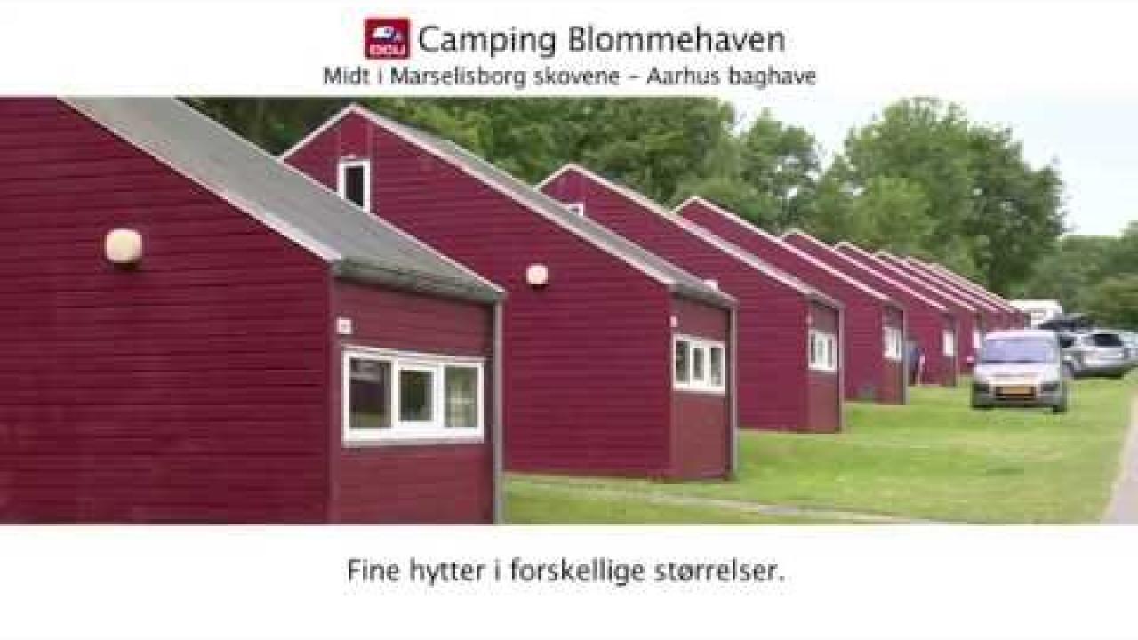 DCU-Camping Blommehaven