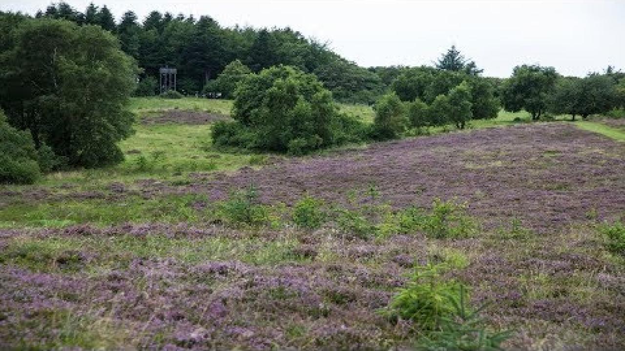 Dagsudflugt til den gamle anstalts-ø - Livø